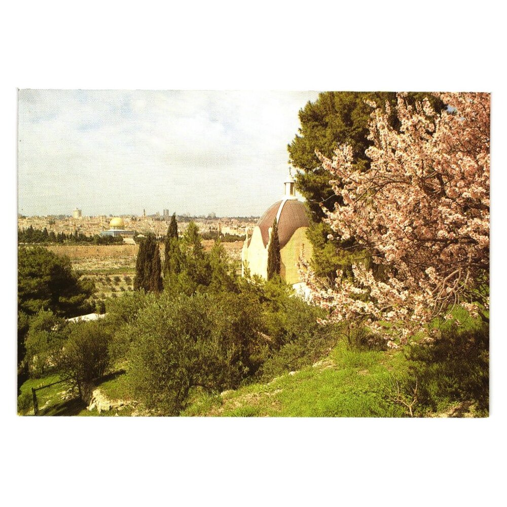 Vintage Jerusalem Dominus Flevit Chapel Postcard Cherry Blossoms City View